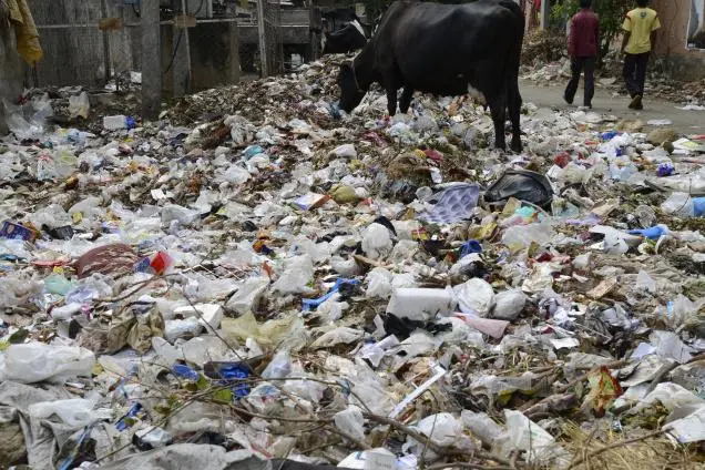 Image showing The Problem of Solid Waste Management & Swachh Bharat Mission in India